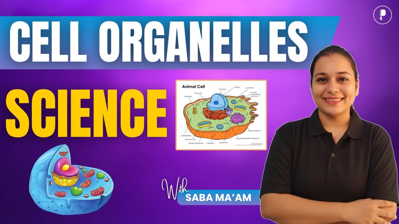 Cell Organelles: Structure and Function | General Science for SSC, Railway & All Govt Exams