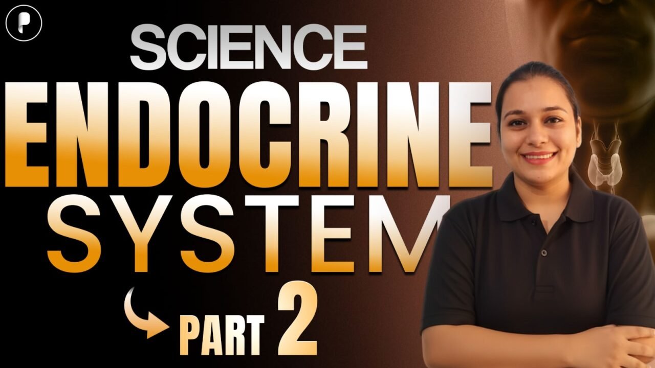 Endocrine and Exocrine Glands Explained with Diagram - Part 2 | Science for SSC, NDA, CDS