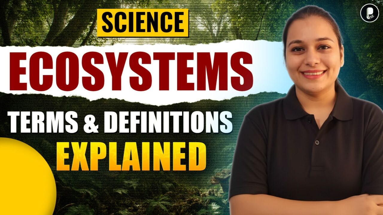 Ecosystems: Important Terms & Definitions | Abiotic Factors, Biomes, Carnivores & Ecosystem Concepts