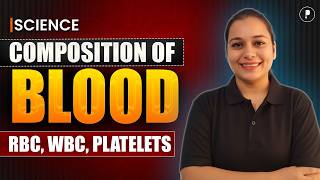 Composition of Blood RBC, WBC & Platelets Explained | Biology for SSC