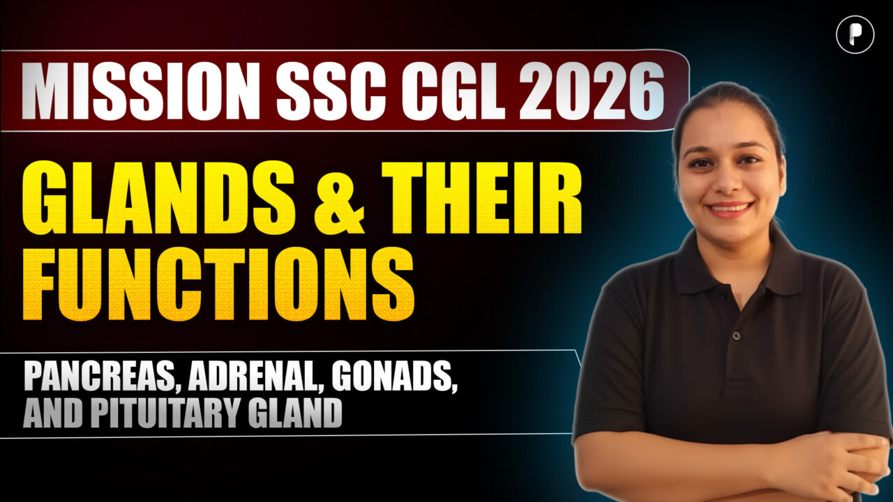 Endocrine Glands Explained | Pancreas, Adrenal, Gonads & Pituitary Gland | SSC CGL 2026