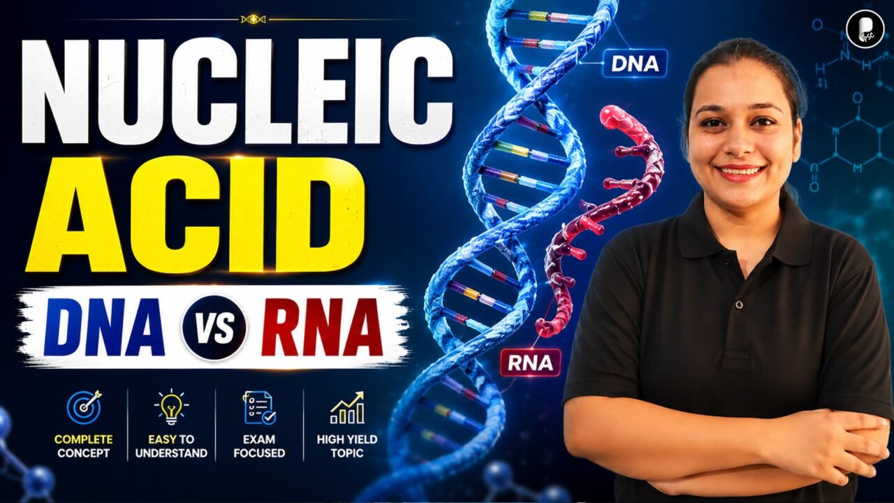 Nucleic Acids (DNA & RNA) Complete | Types, Structure & Differences | State PSC Biology
