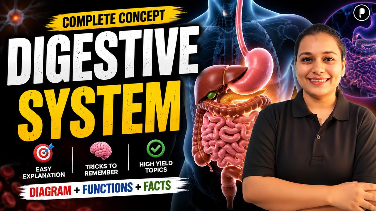 Digestive System | Digestion Process, Alimentary Canal & Stomach | Complete One Shot | SSC CGL 2026