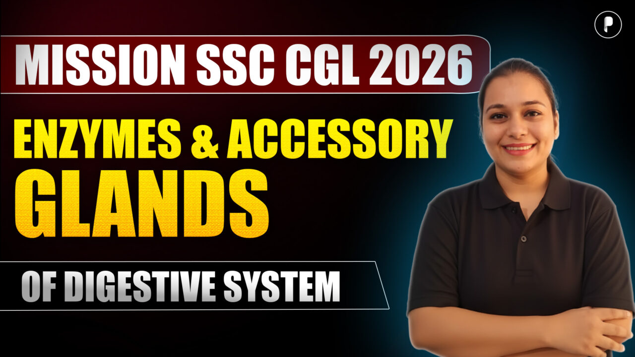 Enzymes & Accessory Glands of the Digestive System | Biology | SSC CGL 2026